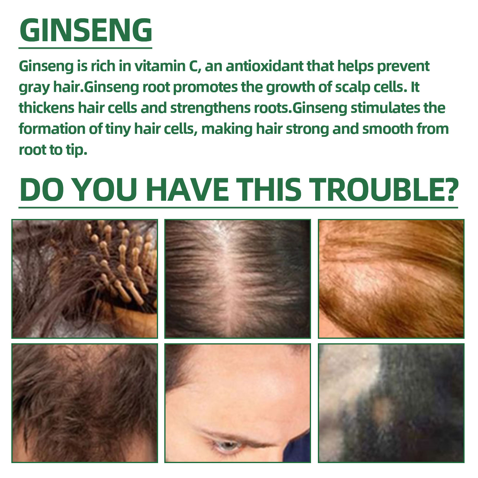 Natural Herbal Ginseng Hair Ca - Hair Care Herbal recension och pris