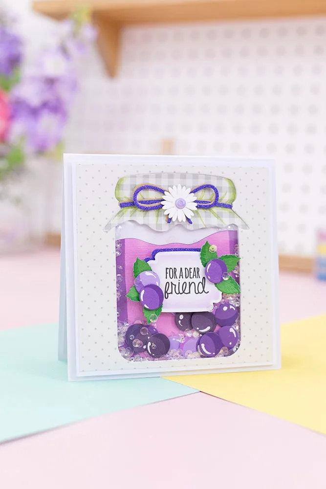 Princess Is Wearing a Dress an - Hair Care Journal recension och pris